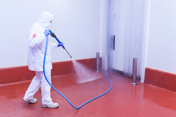 Best Residential Pressure Washing in Kerens, TX